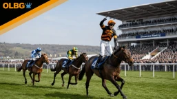 Cheltenham Showcase Meeting Handicap Chase Preview, Tips, Runners & Trends (Showcase Meeting)