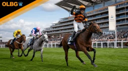 Sodexo Gold Cup Preview, Tips, Runners & Trends
