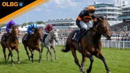 Surrey Stakes Preview, Tips, Runners & Trends (Derby Festival)