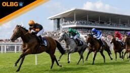 Tattersalls Gold Cup Preview, Tips, Runners & Trends (Irish Guineas Festival)