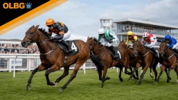 Zetland Gold Cup Preview, Tips, Runners & Trends