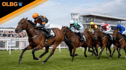 Zetland Gold Cup Preview, Tips, Runners & Trends