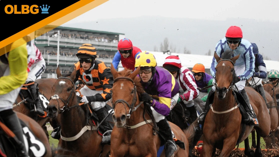 Royal Bond Novice Hurdle Preview, Tips, Runners & Trends (Winter Festival) Royal Bond Novice Hurdle Preview, Tips, Runners & Trends (Winter Festival)