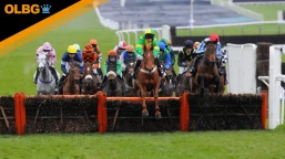 December Festival Hurdle Preview, Tips, Runners & Trends (Christmas Festival)