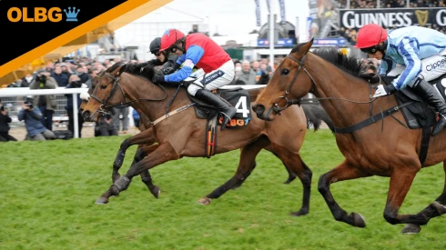 Byerley Stud Mares Novices' Hurdle Preview, Tips, Runners & Trends