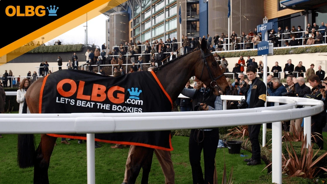 Sodexo Gold Cup Preview, Tips, Runners & Trends Sodexo Gold Cup Preview, Tips, Runners & Trends