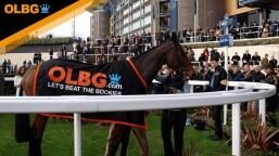 Sodexo Gold Cup Preview, Tips, Runners & Trends