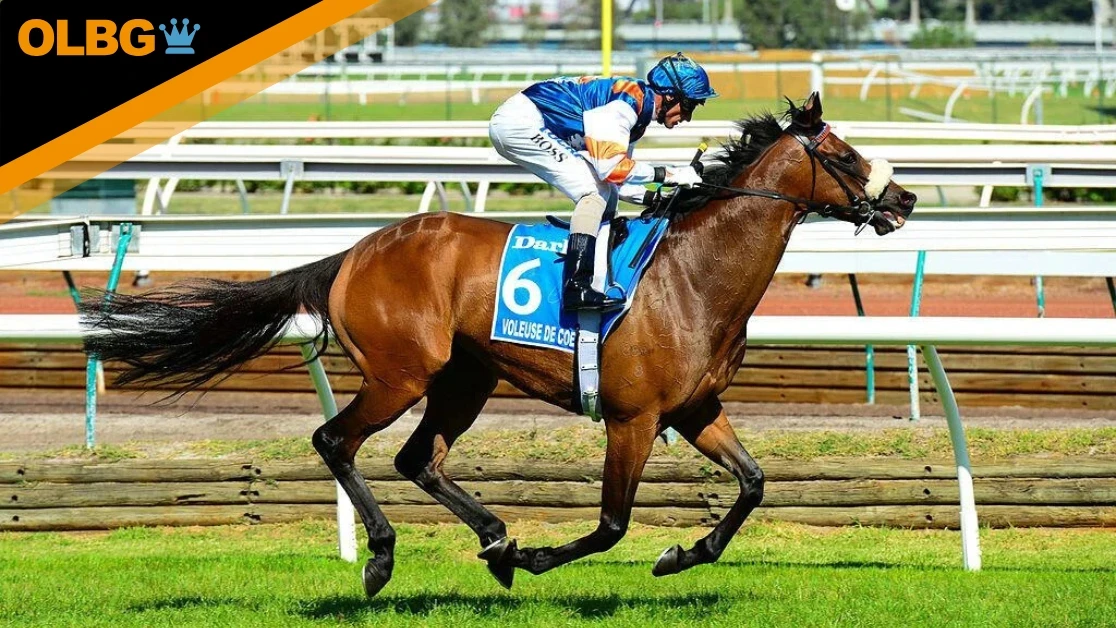 Empire Rose Stakes Preview, Tips, Runners & Trends (Melbourne Cup Carnival) Empire Rose Stakes Preview, Tips, Runners & Trends (Melbourne Cup Carnival)
