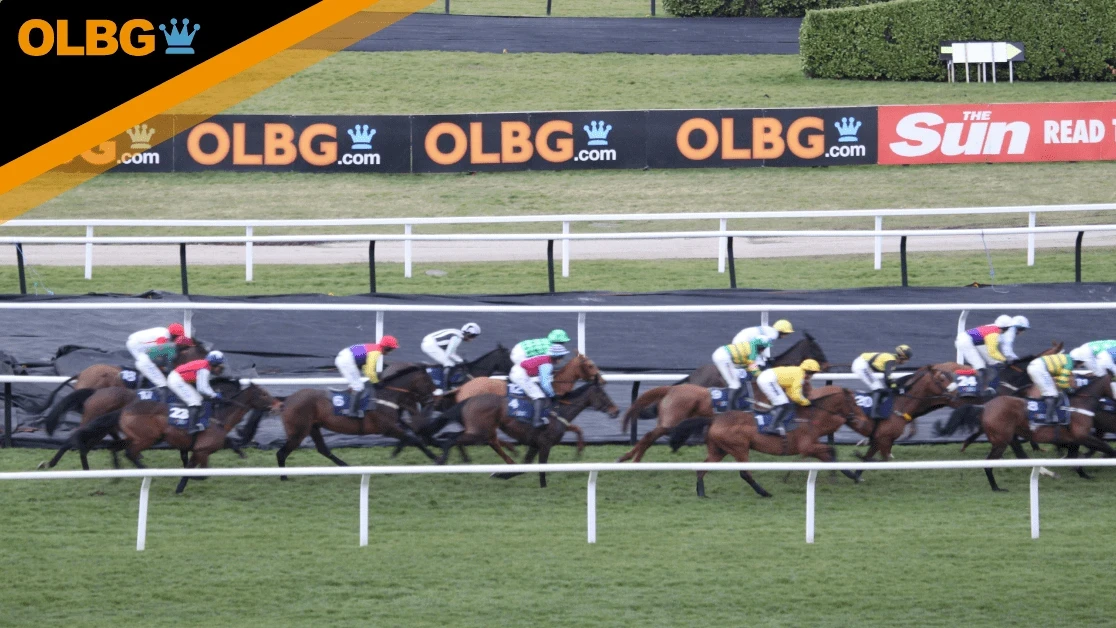 Rehearsal Chase Preview, Tips, Runners & Trends Rehearsal Chase Preview, Tips, Runners & Trends