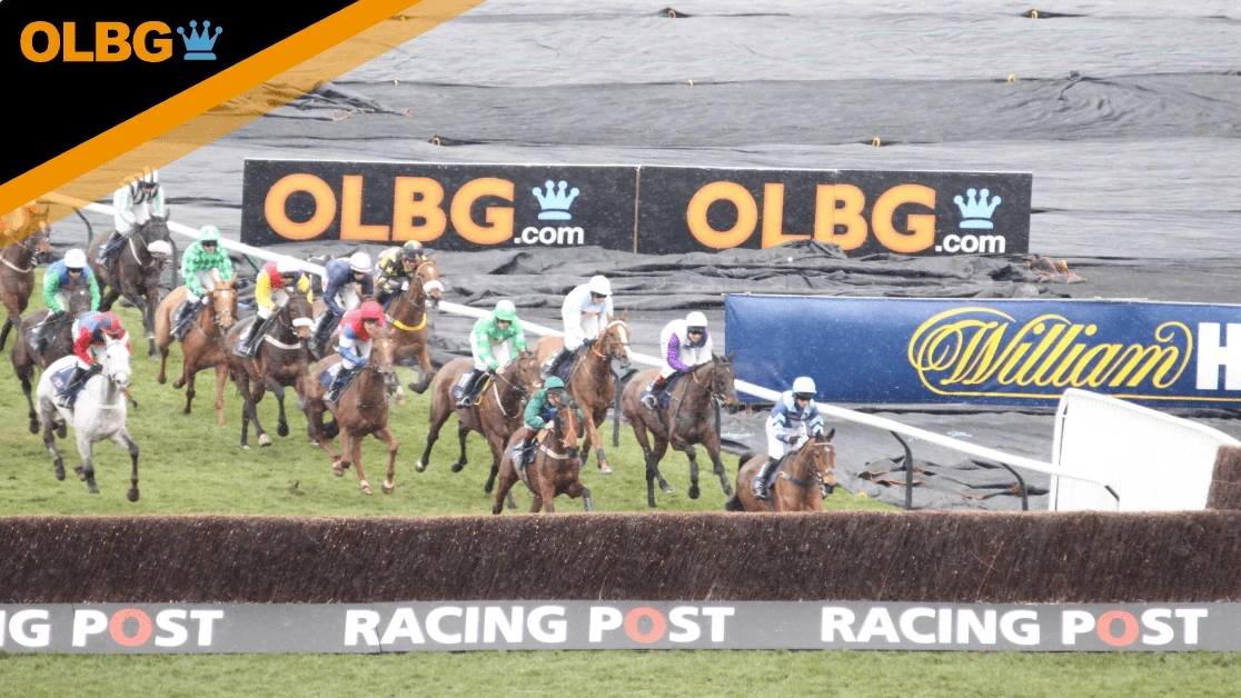 Betfair Novices' Handicap Chase Preview, Tips, Runners & Trends Betfair Novices' Handicap Chase Preview, Tips, Runners & Trends