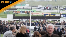 National Hunt Chase Challenge Cup Preview, Tips, Runners & Trends (Cheltenham Festival)