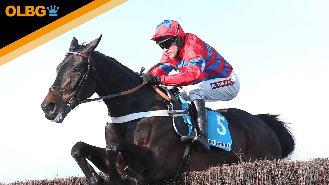 Welsh Grand National Trial Preview, Tips, Runners & Trends Welsh Grand National Trial Preview, Tips, Runners & Trends