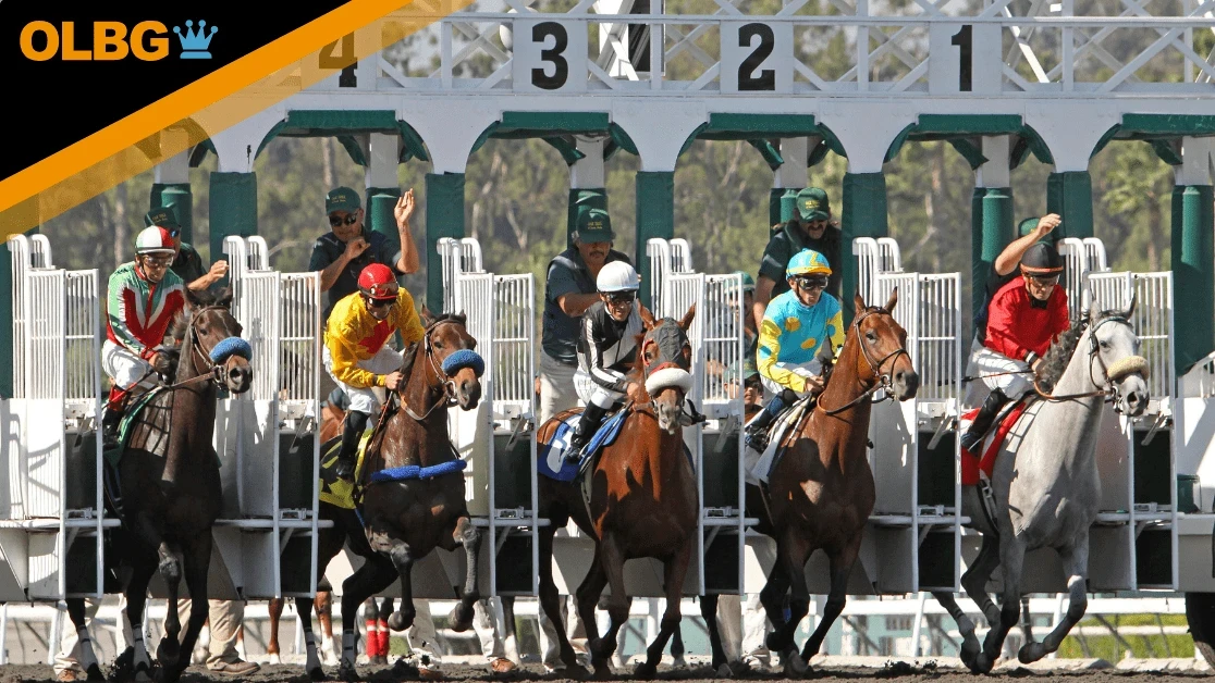 Breeders' Cup World Championships Betting Guide Breeders' Cup World Championships Betting Guide