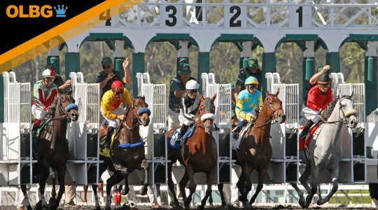 Breeders' Cup World Championships Betting Guide