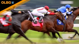 Mill Reef Stakes Preview, Tips, Runners & Trends