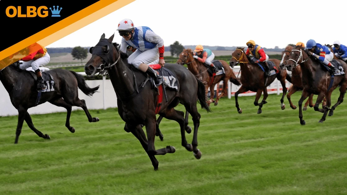 Great Voltigeur Stakes Preview, Tips, Runners & Trends (Ebor Festival) Great Voltigeur Stakes Preview, Tips, Runners & Trends (Ebor Festival)