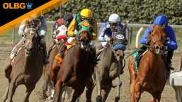 Laytown Racing Trends - Racing on the Beach since 1868