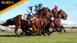 William Hill Each Way Extra Handicap Preview, Tips, Runners & Trends (Futurity Trophy Weekend)
