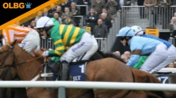 Haldon Gold Cup Preview, Tips, Runners & Trends