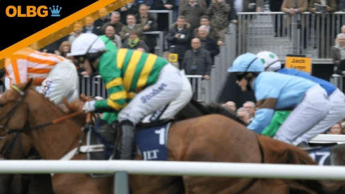 Haldon Gold Cup Preview, Tips, Runners & Trends