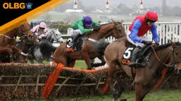 JCB Triumph Trial Juvenile Hurdle Preview, Tips, Runners & Trends (November Meeting)