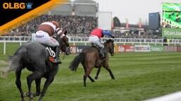 Hexham Handicap Hurdle Preview, Tips, Runners & Trends