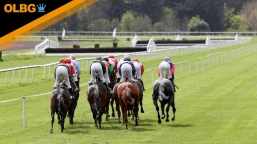 Ascot Heritage Handicap Preview, Tips, Runners & Trends