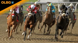 Belmont Stakes Preview, Tips, Runners & Trends