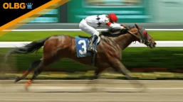 Breeders' Cup Juvenile Preview, Tips, Runners & Trends