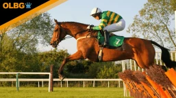 Lawlor's Of Naas Novice Hurdle Preview, Tips, Runners & Trends