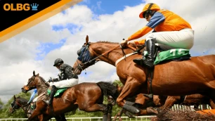 Ascot Hurdle Preview, Tips, Runners & Trends