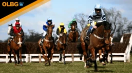 Fairyhouse Winter Festival Listed Handicap Chase Preview, Tips, Runners & Trends (Winter Festival)