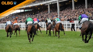 International Hurdle Preview, Tips, Runners & Trends (Festival Trials Day)
