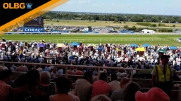 Henry VIII Novices' Chase Preview, Tips, Runners & Trends