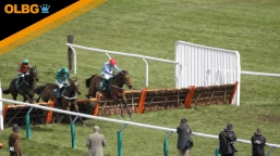 County Handicap Hurdle Preview, Tips, Runners & Trends (Cheltenham Festival)