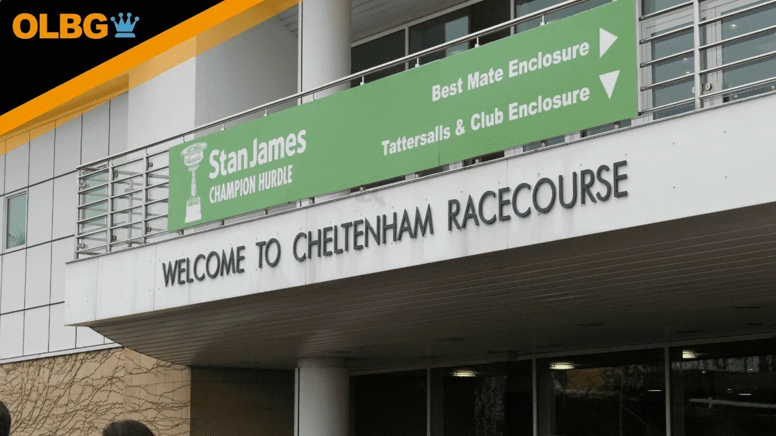 Cheltenham Novice Hurdlers Breeding & Pedigree Guide Cheltenham Novice Hurdlers Breeding & Pedigree Guide