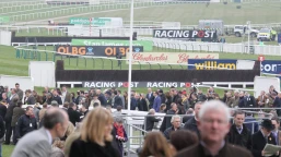 November Meeting Handicap Chase Preview, Tips, Runners & Trends (November Meeting)