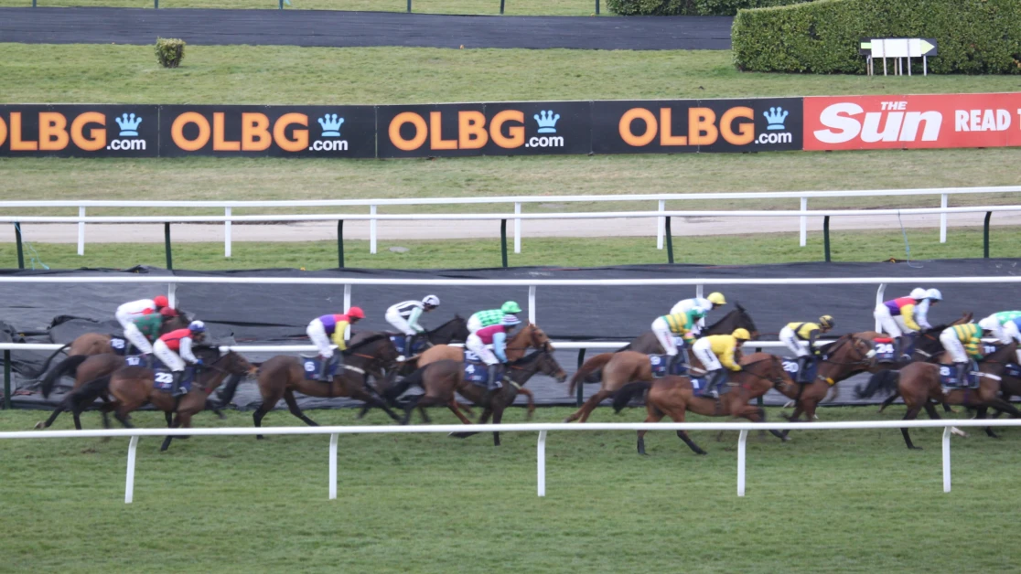 Rehearsal Chase Preview, Tips, Runners & Trends Rehearsal Chase Preview, Tips, Runners & Trends