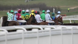Bowl Chase Preview, Tips, Runners & Trends (Grand National Meeting)