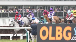 Scottish Champion Chase Preview, Tips, Runners & Trends (Scottish Cheltenham Trials)