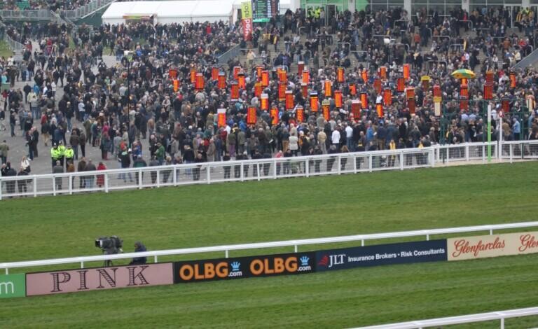 Foxhunter Chase Challenge Cup Preview, Tips, Runners & Trends (Cheltenham Festival)