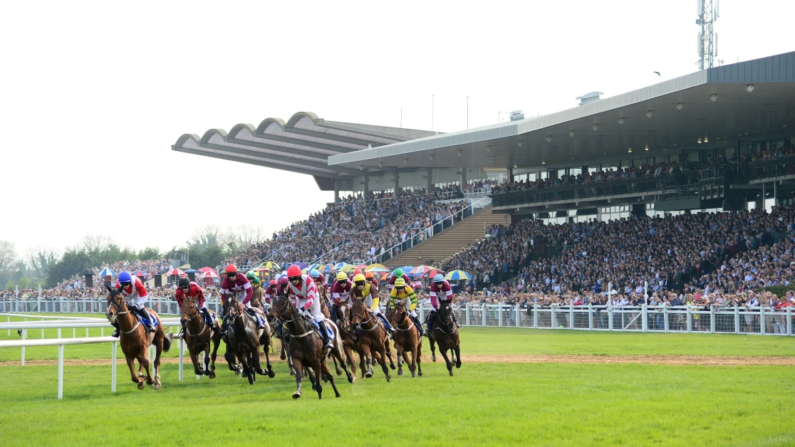 Bobbyjo Chase Preview, Tips, Runners & Trends Bobbyjo Chase Preview, Tips, Runners & Trends