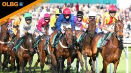 Ebor Festival Stayers Heritage Handicap Preview, Tips, Runners & Trends (Ebor Festival)