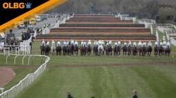 American Grand National Hurdle Stakes Preview, Tips, Runners & Trends
