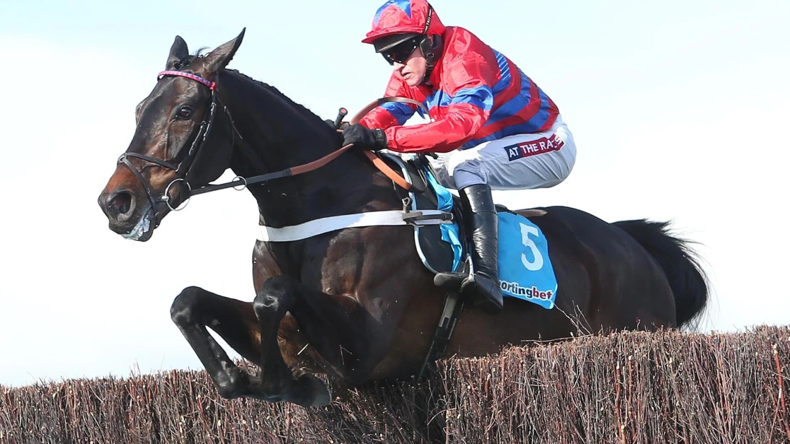 Welsh Grand National Trial Preview, Tips, Runners & Trends Welsh Grand National Trial Preview, Tips, Runners & Trends