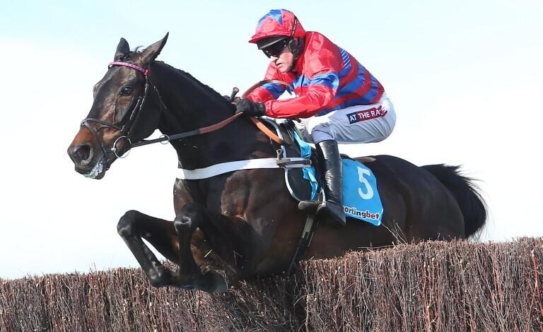 Welsh Grand National Trial Preview, Tips, Runners & Trends