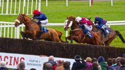 How do you recover after losing betting runs?