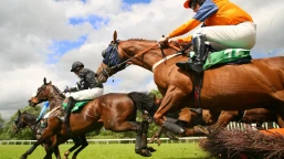 Ascot Hurdle Preview, Tips, Runners & Trends