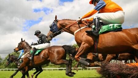 Ascot Hurdle Preview, Tips, Runners & Trends