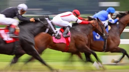 Yushun Himba (Japanese Oaks) Preview, Tips, Runners & Trends